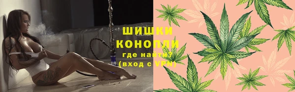 прущие крисы Киренск